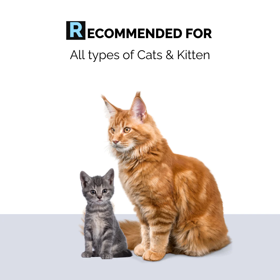 Moe Puppy Cleansing & Conditioning Foam Shampoo for Cats - Image 4