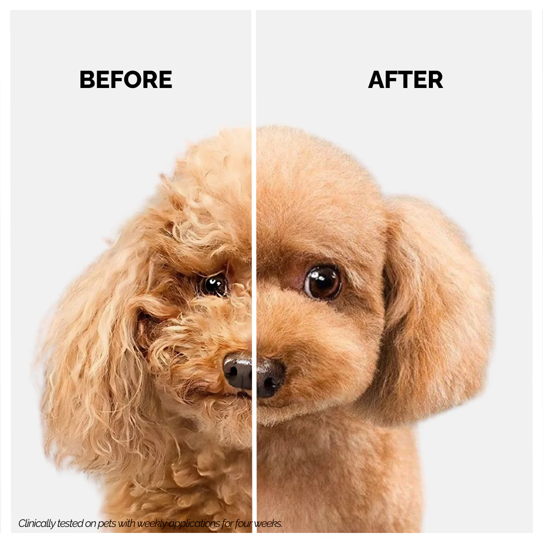 Moe Puppy Deshedding & Detangling 2 in 1 Shampoo & Conditioner for Dogs & Cats - Image 4
