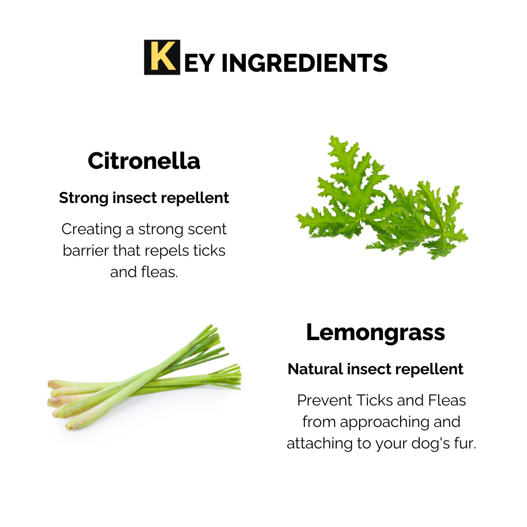 Moe Puppy Natural Lemongrass & Aloe Vera Anti Tick Spray for Dogs & Cats - Image 5
