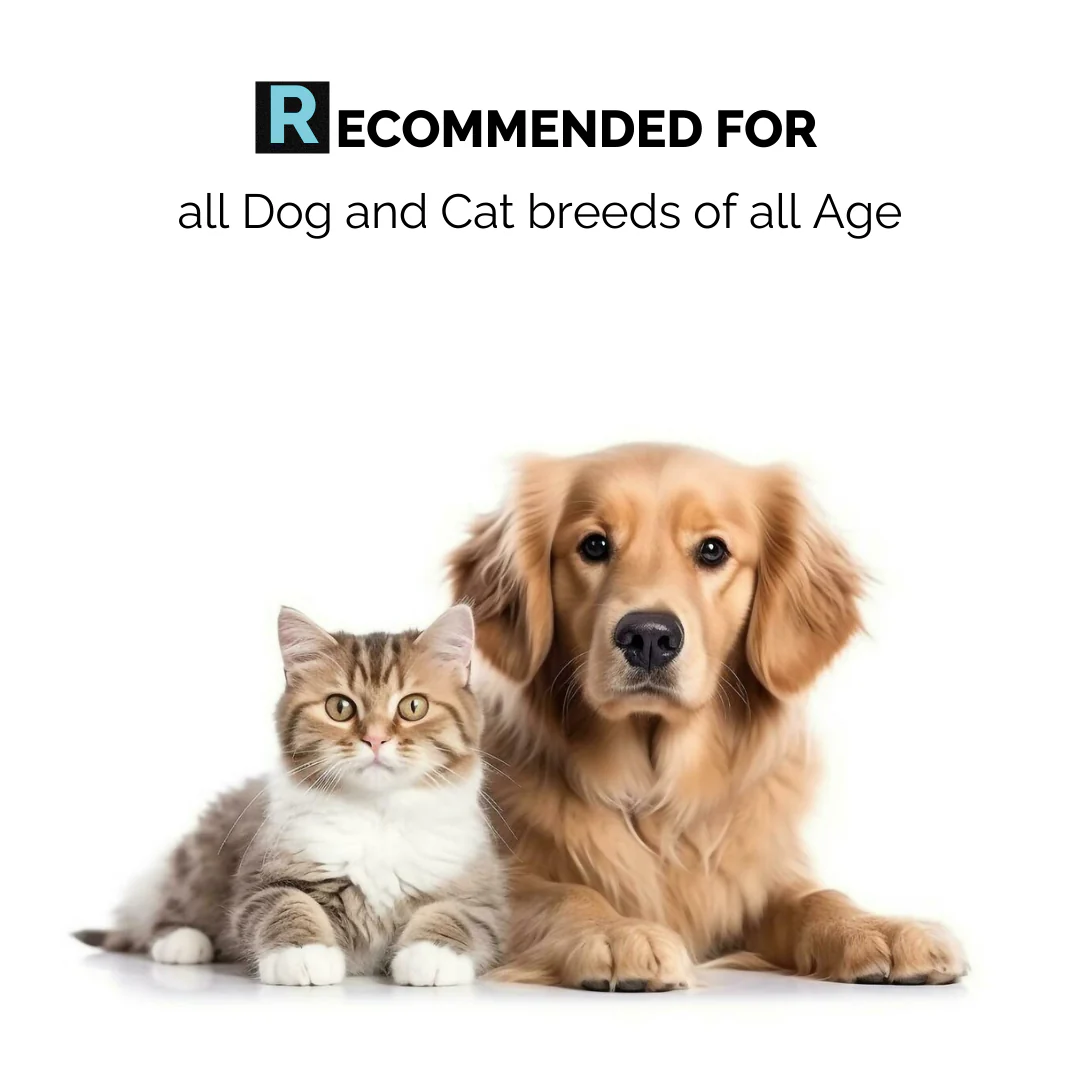 Moe Puppy Thyme Grapeseed Dental Spray for Dogs & Cats - Image 7