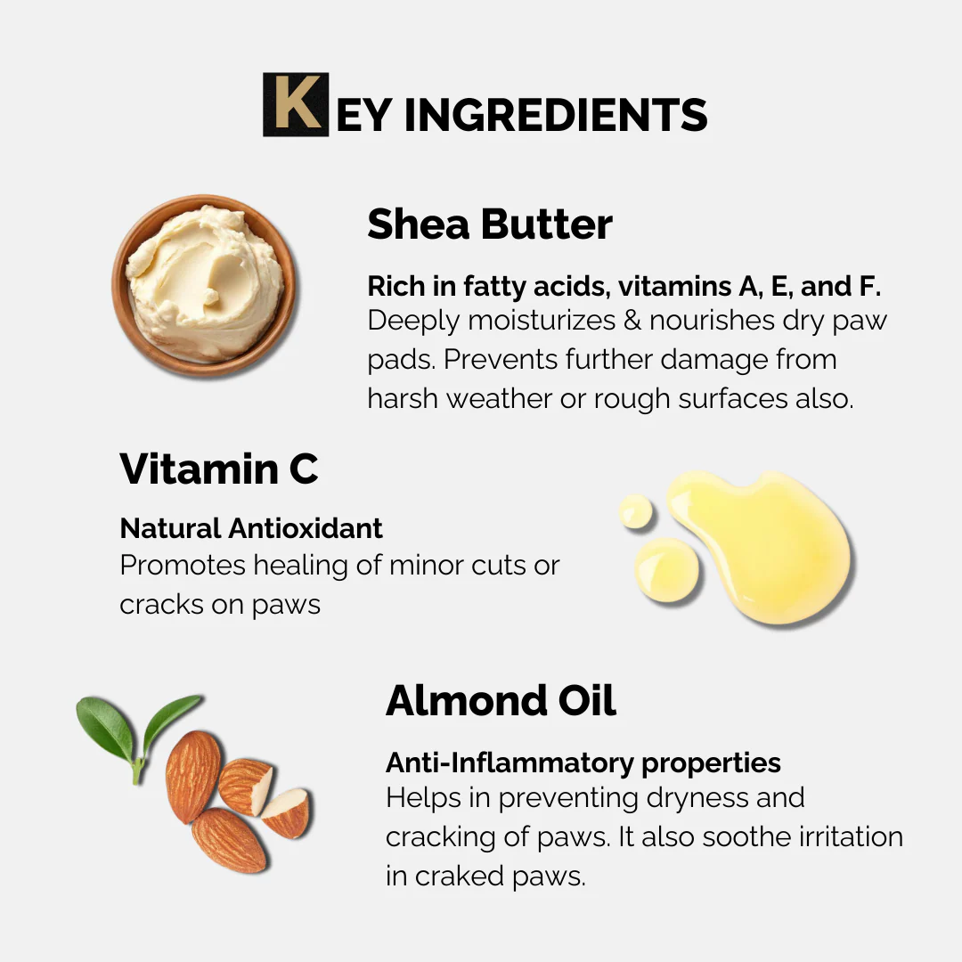 Moe Puppy Vitamin E Shea Butter Paw Cream for Dogs & Cats - Image 3