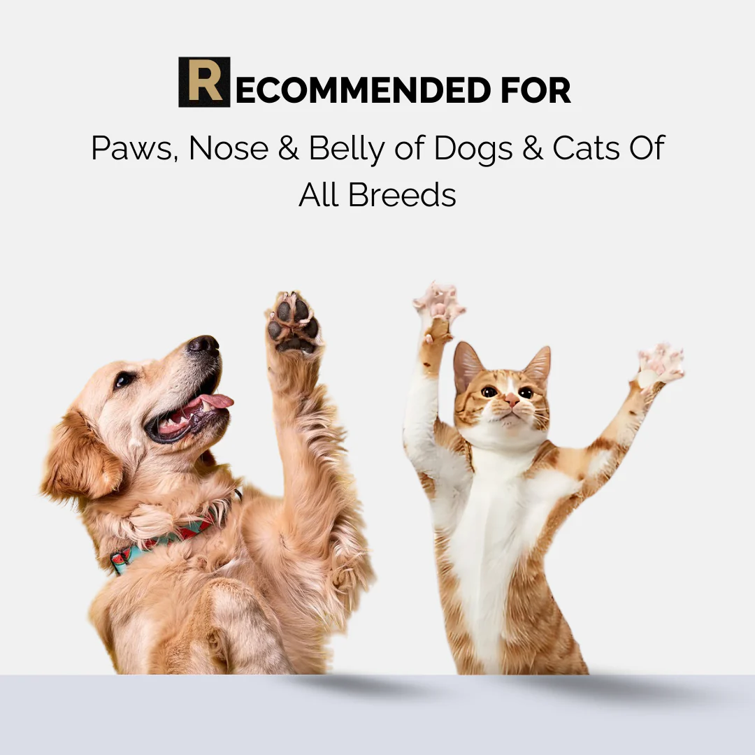 Moe Puppy Vitamin E Shea Butter Paw Cream for Dogs & Cats - Image 6