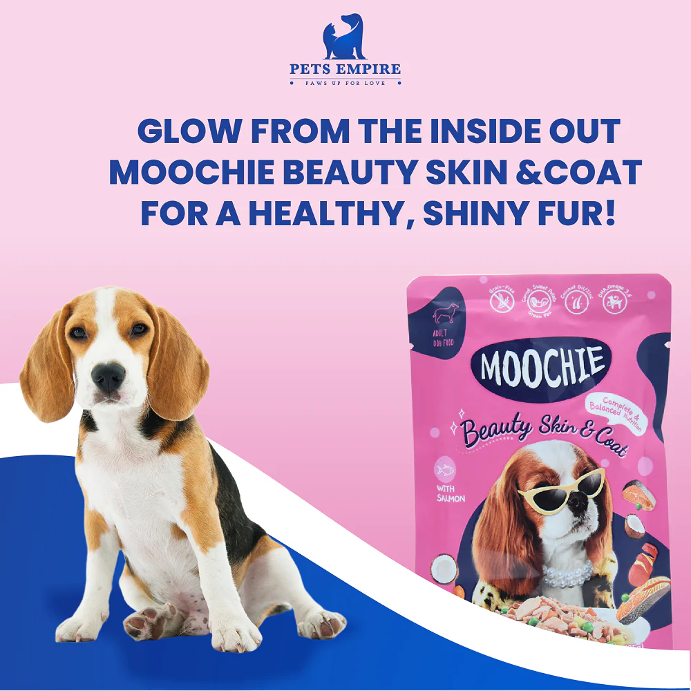 Moochie Beauty Skin and Coat Casserole with Salmon Gravy Adult Dog Wet Food - Image 5