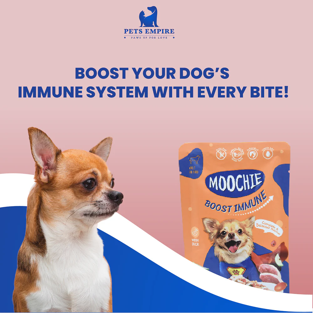 Moochie Boost Immune Casserole with Duck Gravy Adult Dog Wet Food - Image 4