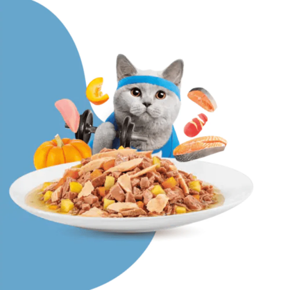 Moochie Salmon Grain Free Weight Control Cat Wet Food - Image 4