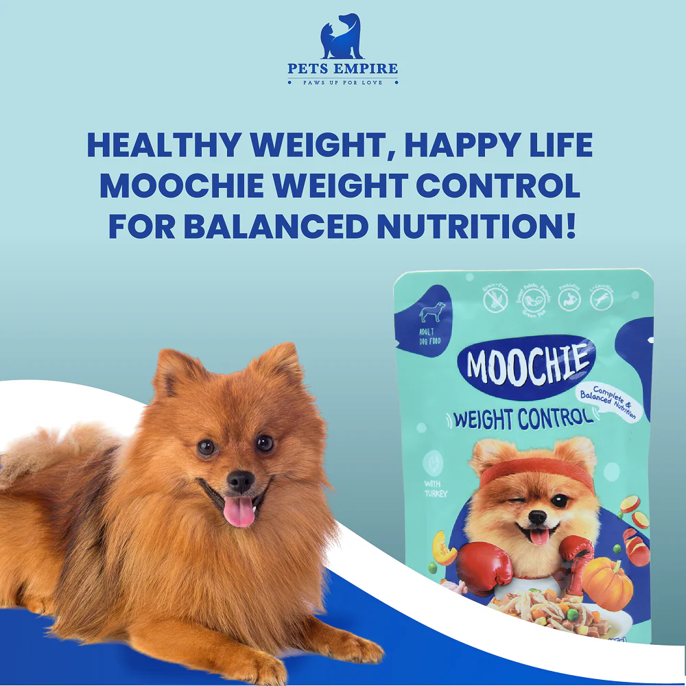 Moochie Weight Control Casserole with Turkey Gravy Adult Dog Wet Food - Image 2