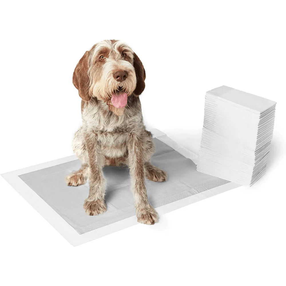 M Pets Carbon Training Dog Pads (60x60cm) - Image 3