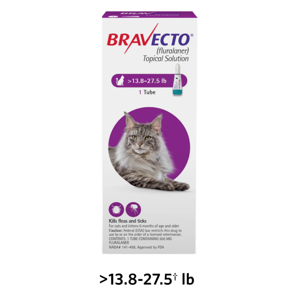 MSD Animal Health Bravecto 500mg (Fluralaner) Spot On for Large Cats (1 tube) - Image 4
