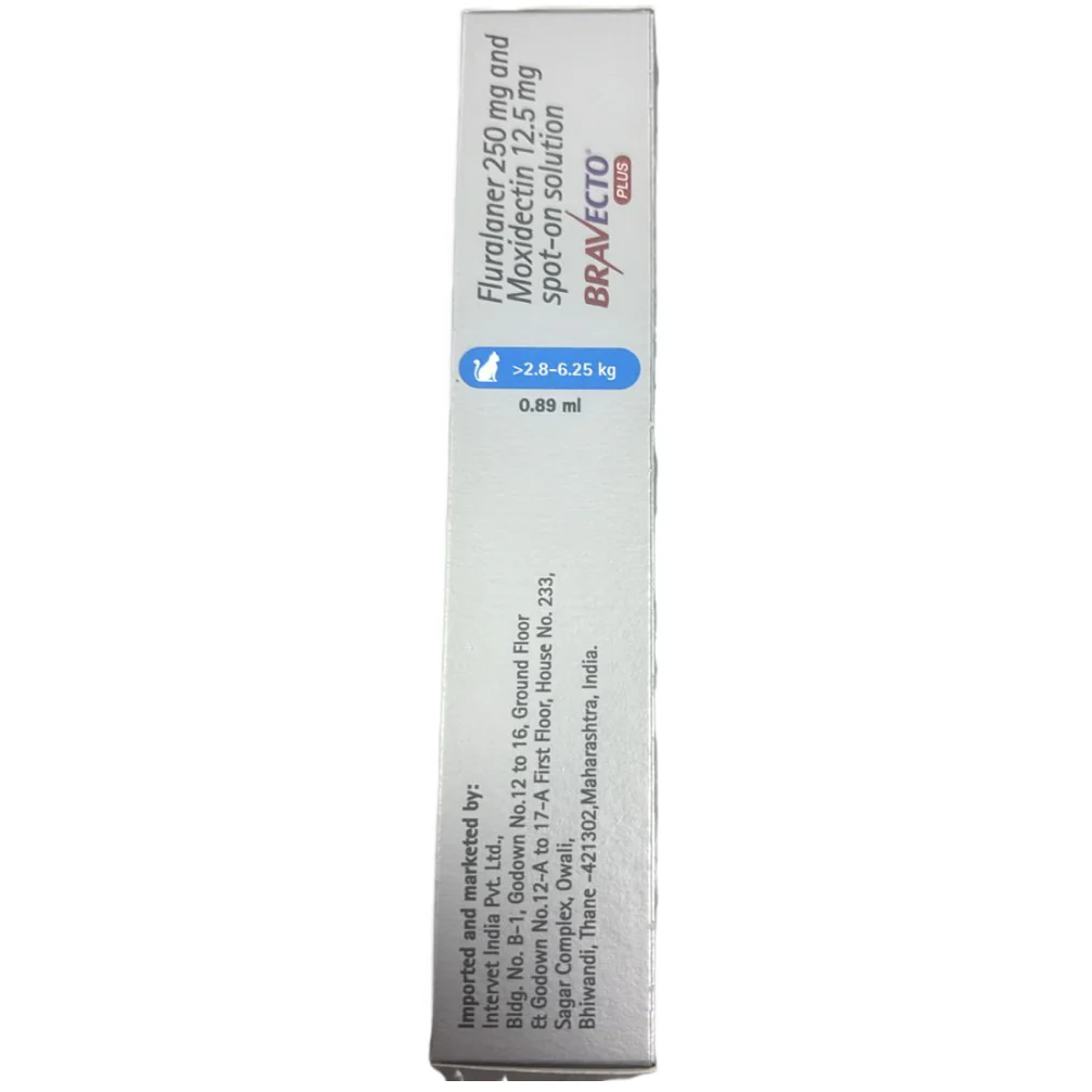 MSD Animal Health Bravecto 250mg (Fluralaner) Spot On Solution for Medium Sized Cats - Image 3