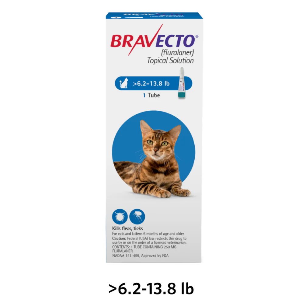 MSD Animal Health Bravecto 250mg (Fluralaner) Spot On Solution for Medium Sized Cats - Image 4