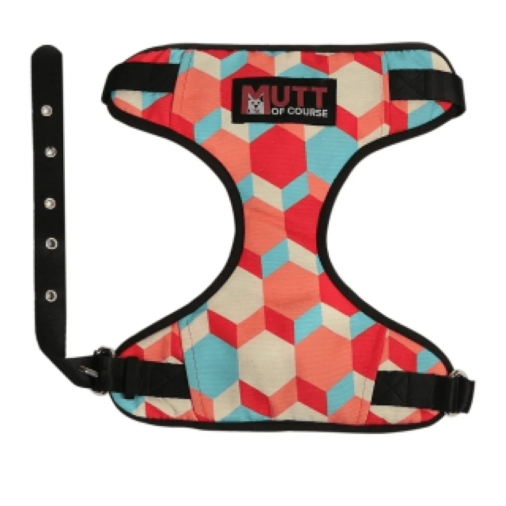 Mutt of Course Candy Barr Harness for Dogs - Image 5