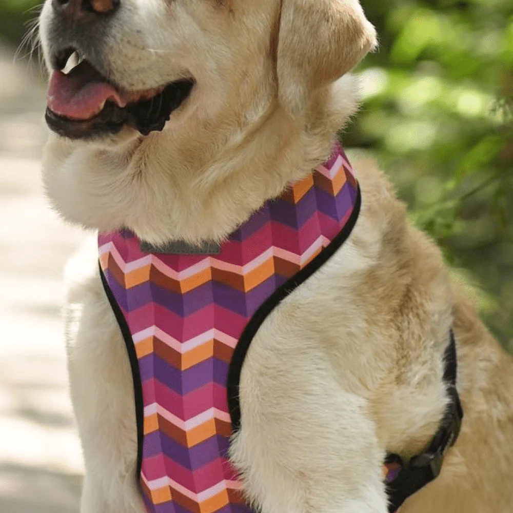 Mutt of Course Dark Geometrical Harness for Dogs - Image 4