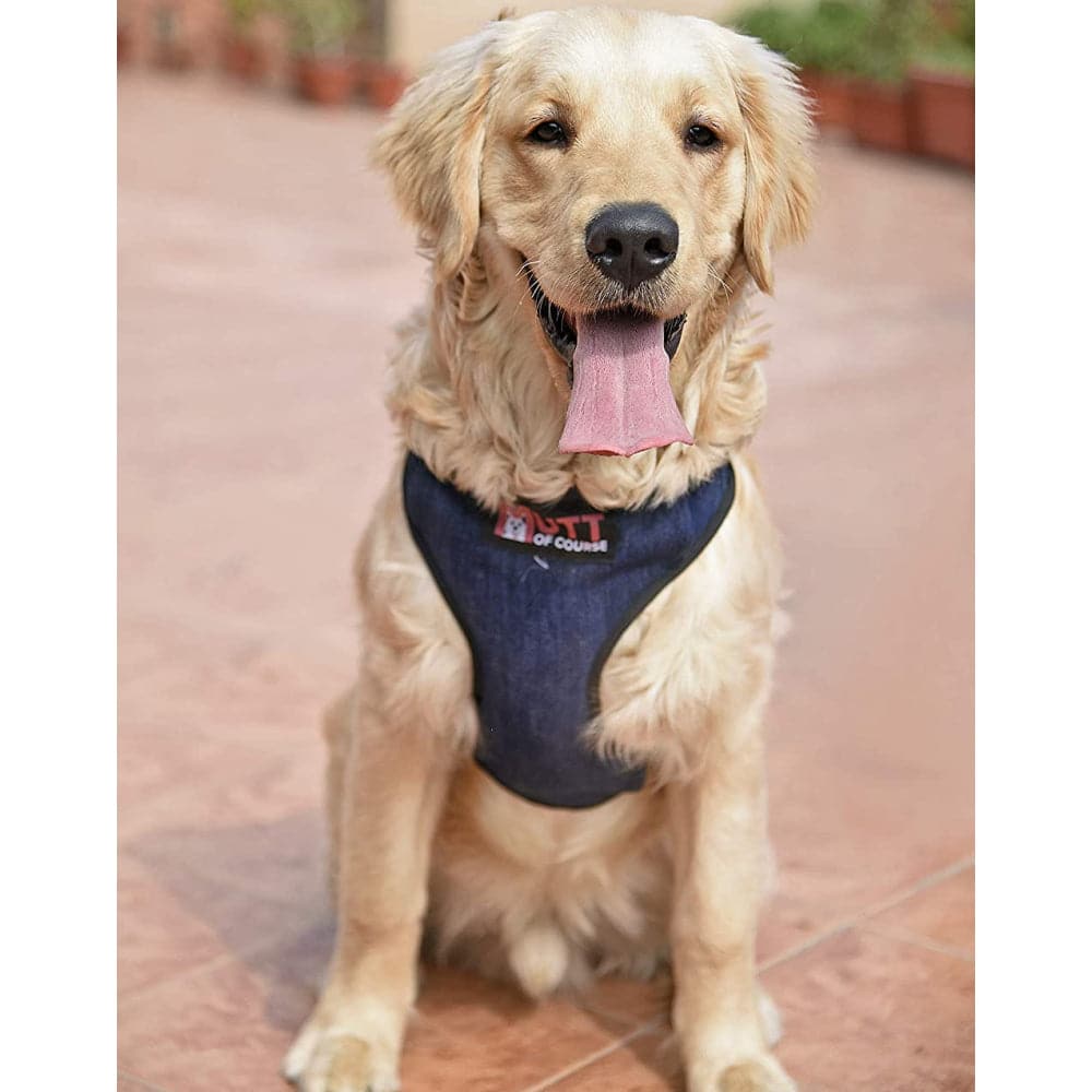Mutt of Course Denim Harness for Dog (Dark Blue) - Image 4
