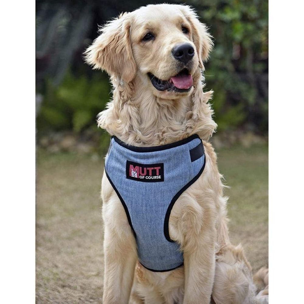 Mutt of Course Denim Harness for Dogs (Light Blue) - Image 4