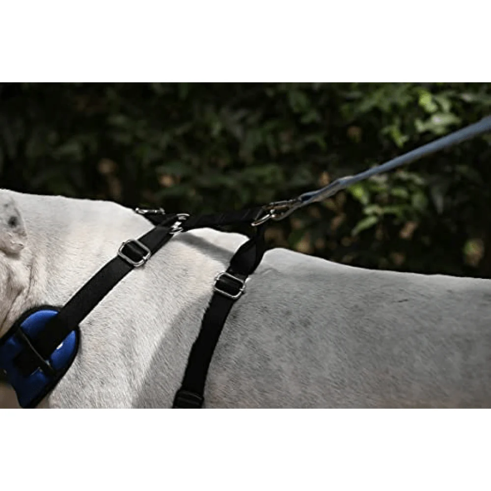 Mutt of Course Elon Mutts Harness for Dogs - Image 5