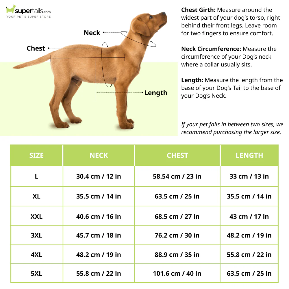 Mutt of Course Elon Mutts Shirt for Dogs - Image 2