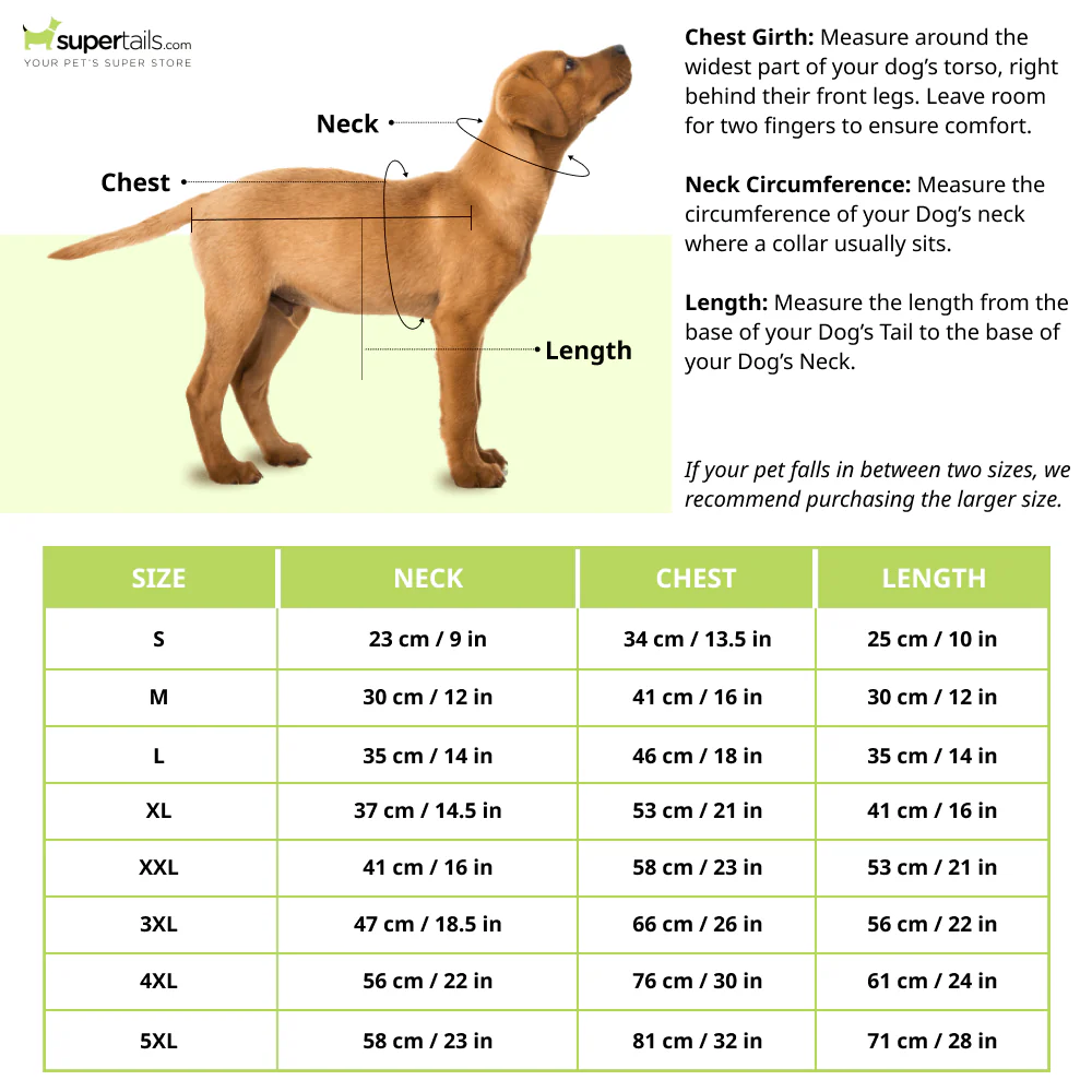 Mutt of Course Great Doggo T Shirt for Dogs - Image 2