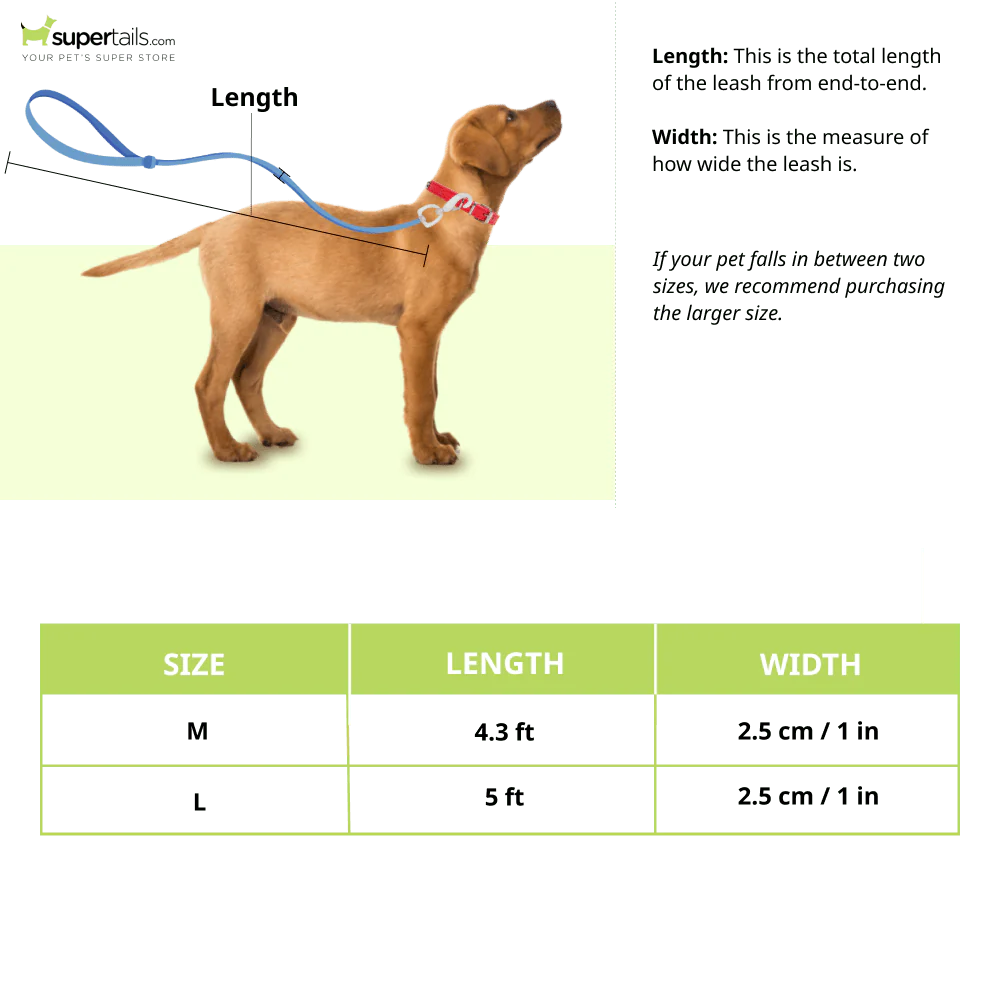 Mutt of Course Pawesome Blossom Leash for Dogs - Image 2