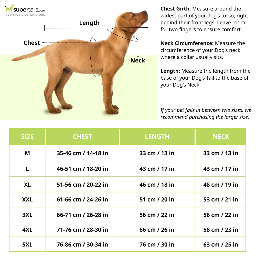 Mutt of Course Raincoat For Dogs (Red) - Image 2
