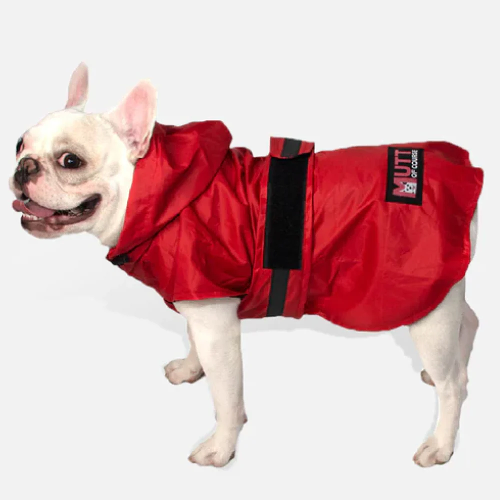 Mutt of Course Raincoat For Dogs (Red) - Image 5