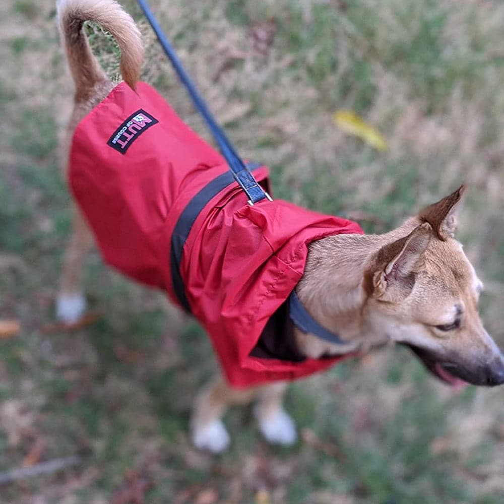 Mutt of Course Raincoat For Dogs (Red) - Image 7