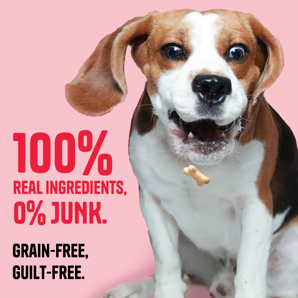 Muttley Crew Chicken and Peanut Butter Biscuits Dog Treats - Image 2