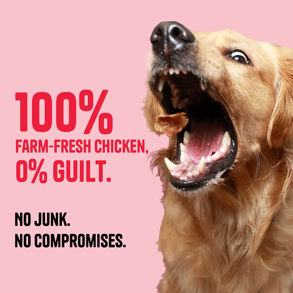 Muttley Crew Chicken Jerky Dog Treats - Image 3