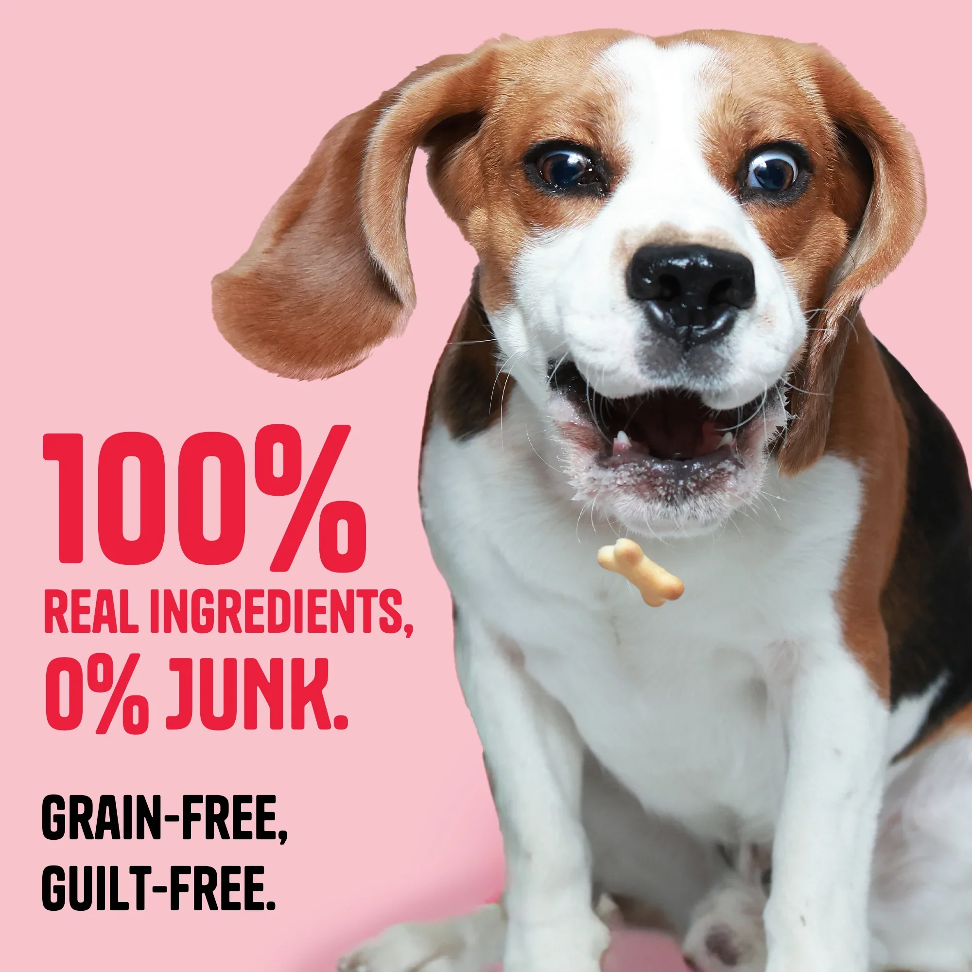 Muttley Crew Chicken Liver Biscuits Dog Treats - Image 4