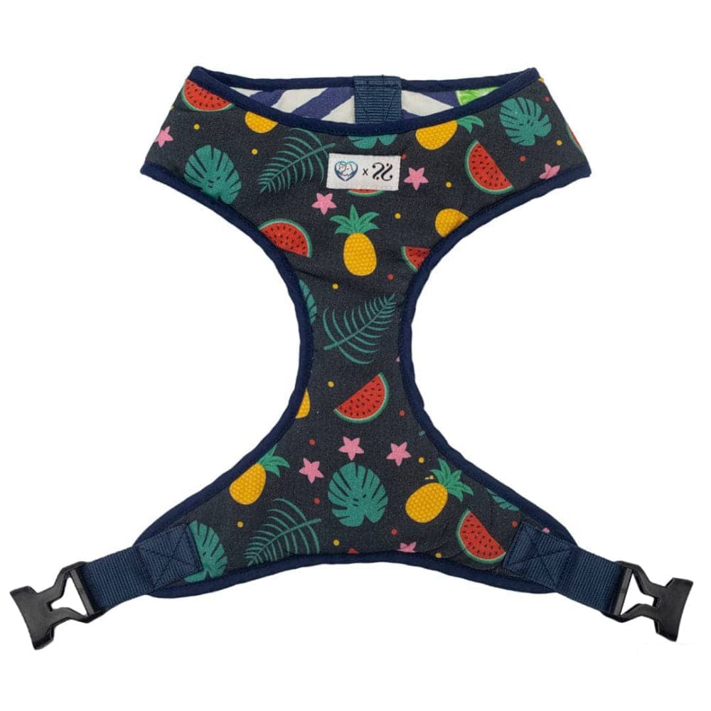 Pet And Parents Fresh Fruit Reversible Harness for Dogs - Image 3