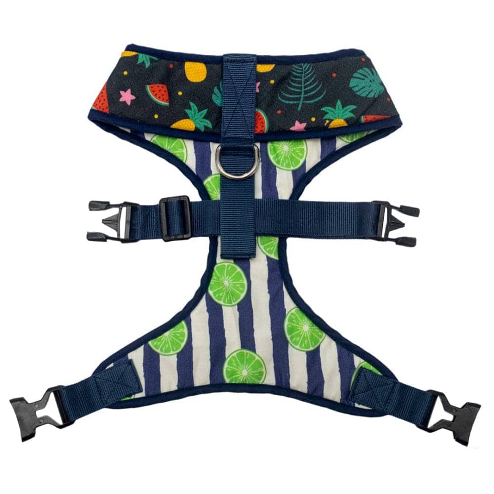 Pet And Parents Fresh Fruit Reversible Harness for Dogs - Image 4