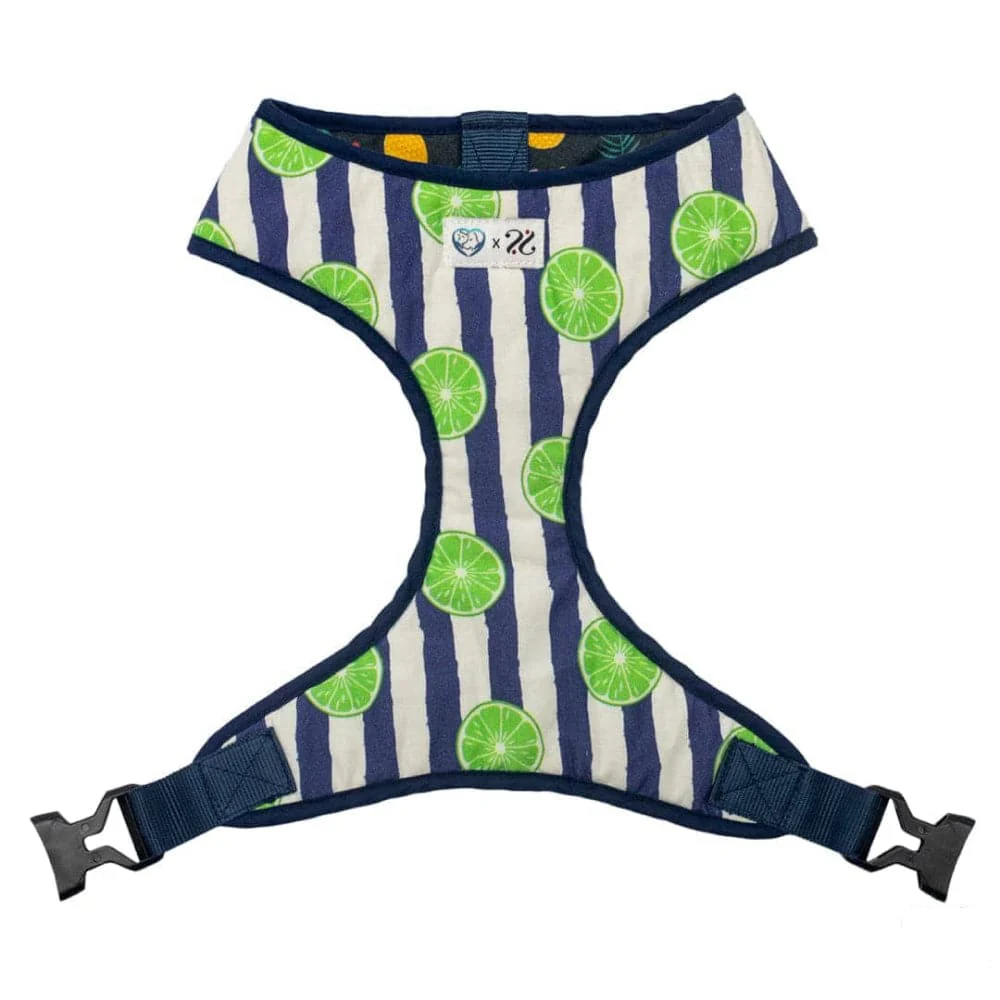 Pet And Parents Fresh Fruit Reversible Harness for Dogs - Image 5