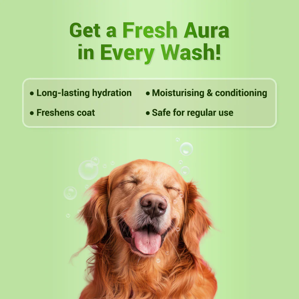 Natural Remedies Auraglow Moisturizing Shampoo for Dogs and Cats - Image 11