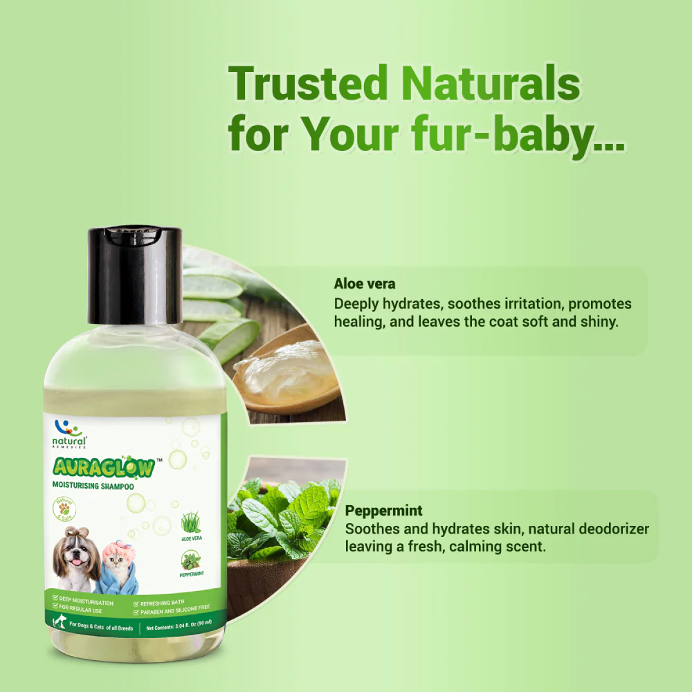 Natural Remedies Auraglow Moisturizing Shampoo for Dogs and Cats - Image 9