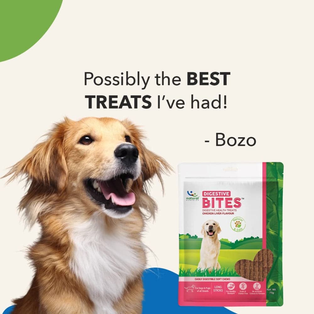 Natural Remedies Digestive Bites Chew Treats for Dogs - Image 5