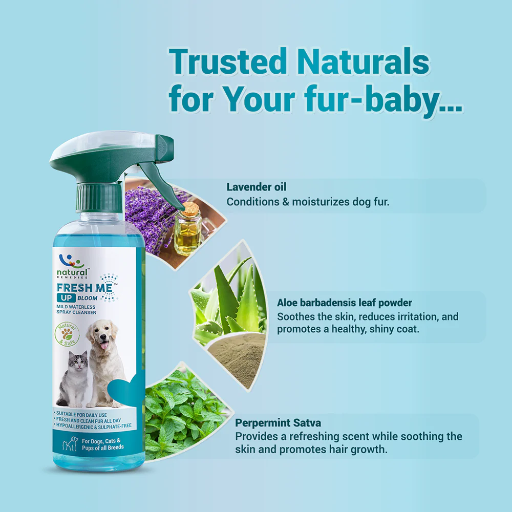 Natural Remedies Fresh Me Up Bloom Dry Shampoo for Dogs and Cats - Image 3