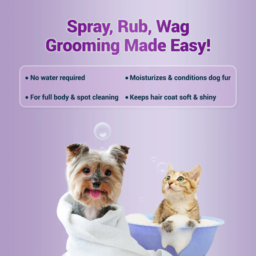 Natural Remedies Fresh Me Up Bloom Aloevera Cleanser for Dogs and Cats - Image 2
