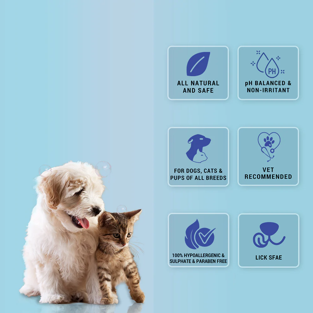 Natural Remedies Fresh Me Up Bloom Dry Shampoo for Dogs and Cats - Image 3