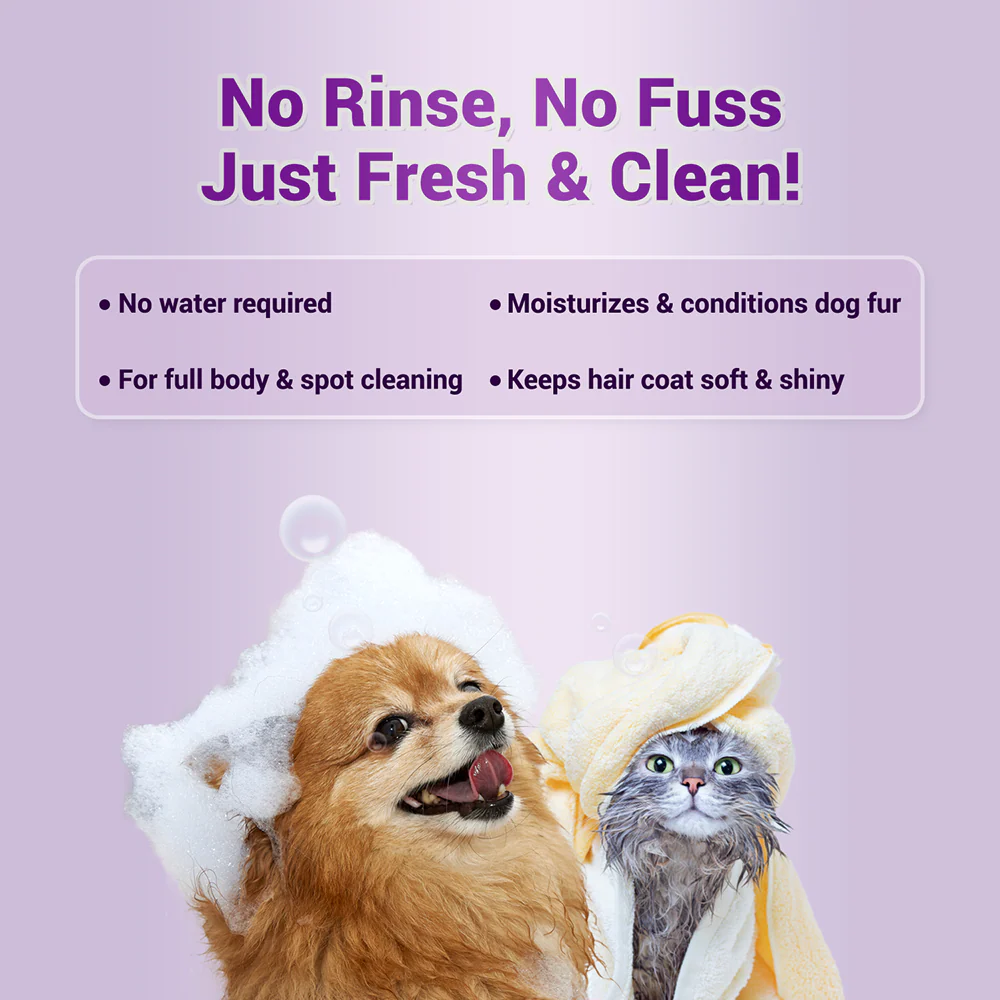 Natural Remedies Fresh Me Up Waterless Dry Shampoo for Dogs and Cats - Image 2
