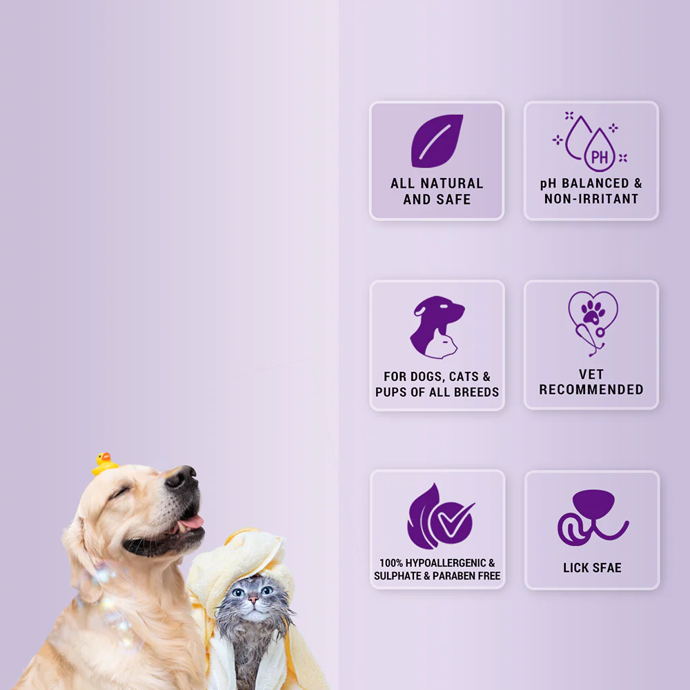 Natural Remedies Fresh Me Up Waterless Dry Shampoo for Dogs and Cats - Image 3