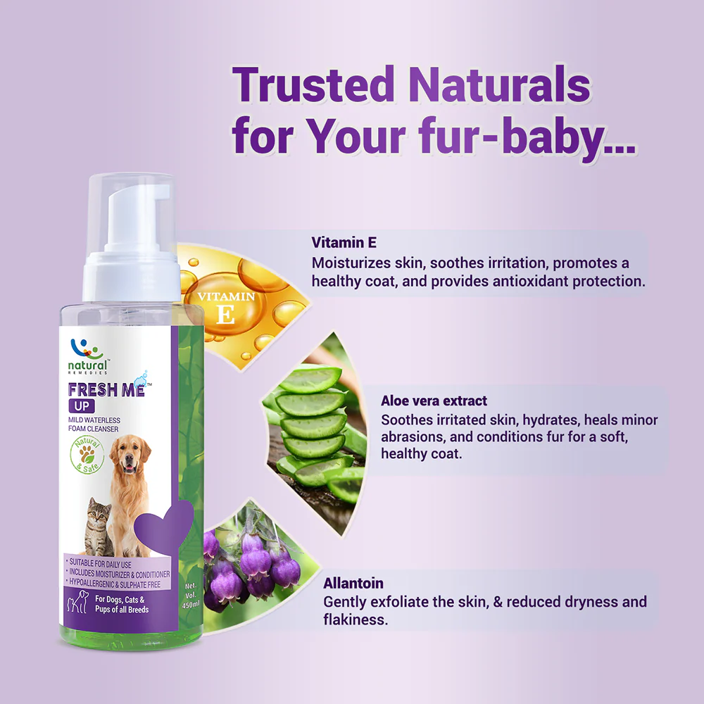 Natural Remedies Fresh Me Up Waterless Dry Shampoo for Dogs and Cats - Image 4