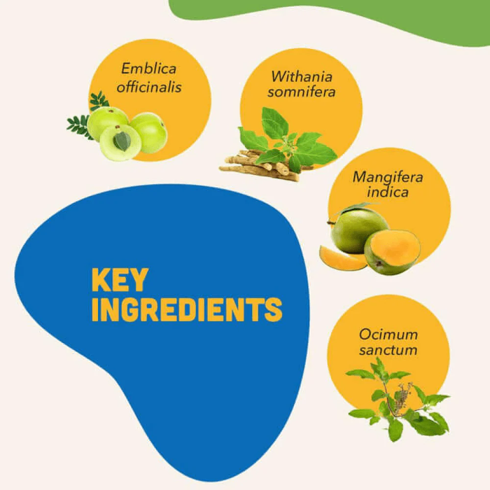 Natural Remedies Immunities Bites for Dogs - Image 3