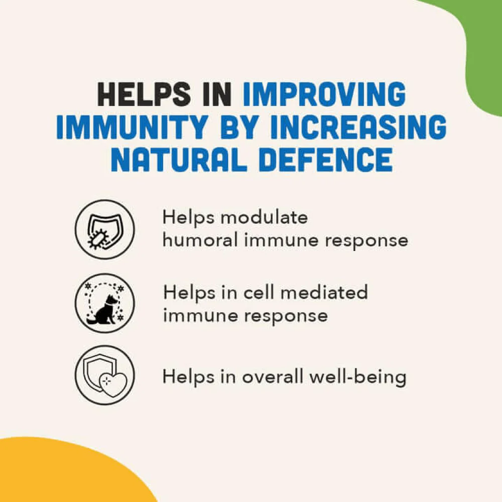 Natural Remedies Immunities Bites for Dogs - Image 4