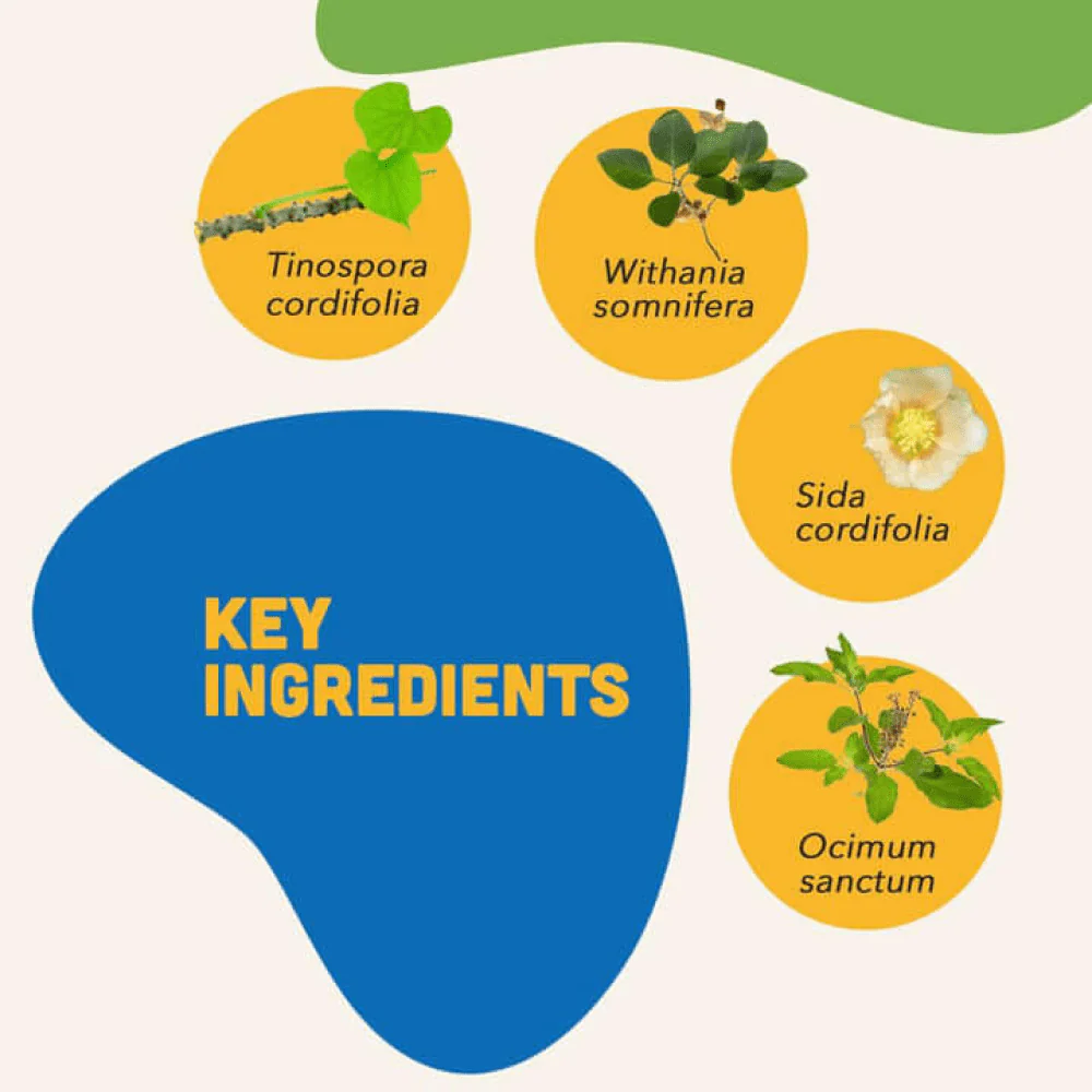 Natural Remedies Junior Bites for Dogs - Image 4