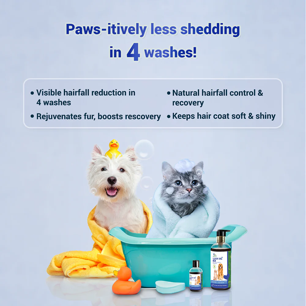 Natural Remedies Lush Me Up Anti Hairfall Shampoo for Dogs and Cats - Image 2