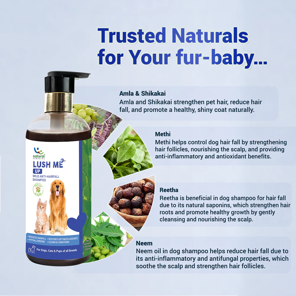 Natural Remedies Lush Me Up Anti Hairfall Shampoo for Dogs and Cats - Image 5