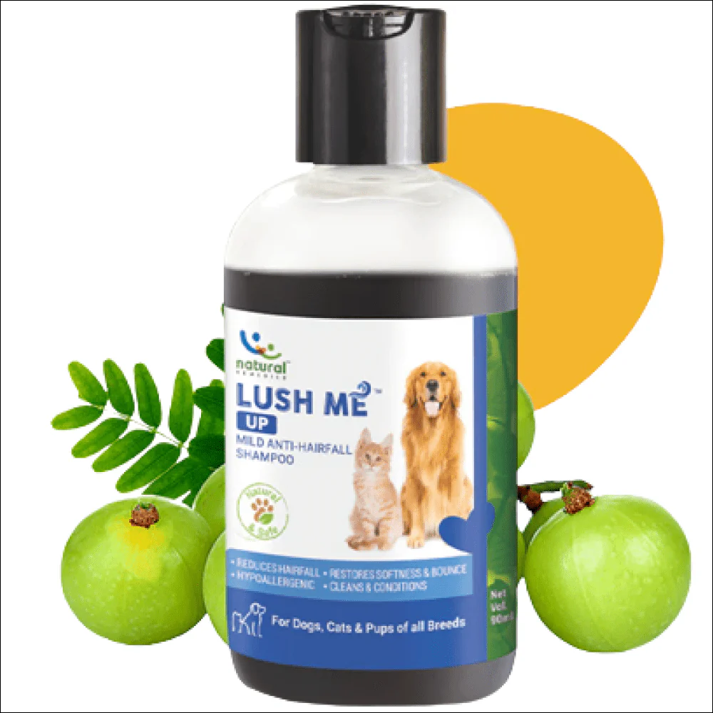 Natural Remedies Lush Me Up Anti Hairfall Shampoo for Dogs and Cats - Image 6