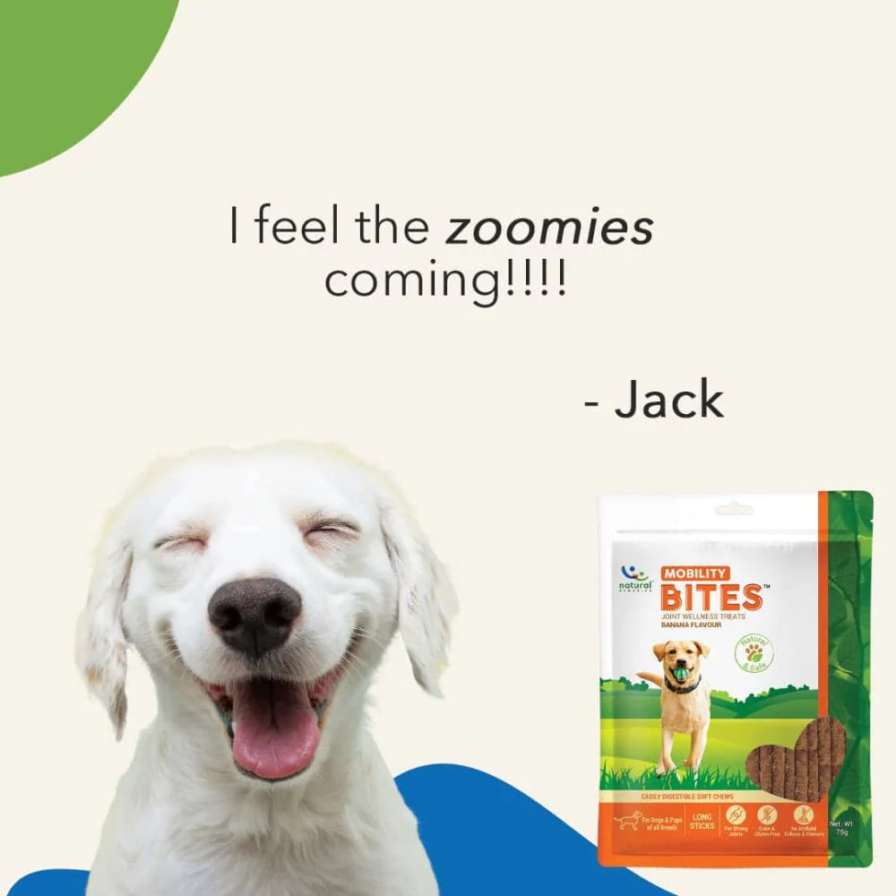 Natural Remedies Mobility Bites Chew Treats for Dogs - Image 5
