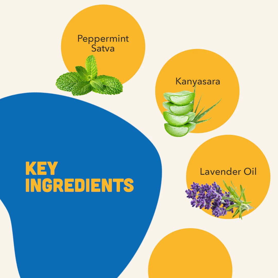 Natural Remedies Natgut Digestive Tablets & Fresh Me Up Bloom Dry Shampoo Dogs & Cats Combo - Image 10