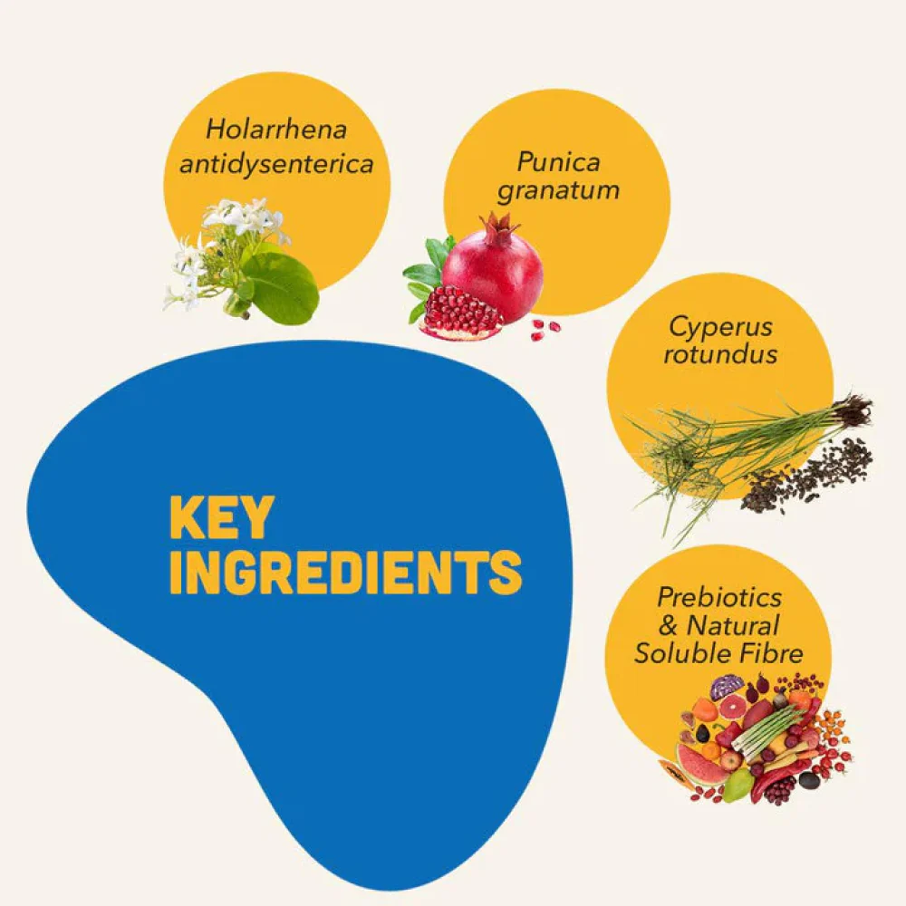 Natural Remedies Natgut Digestive Tablets for Dogs and Cats - Image 3