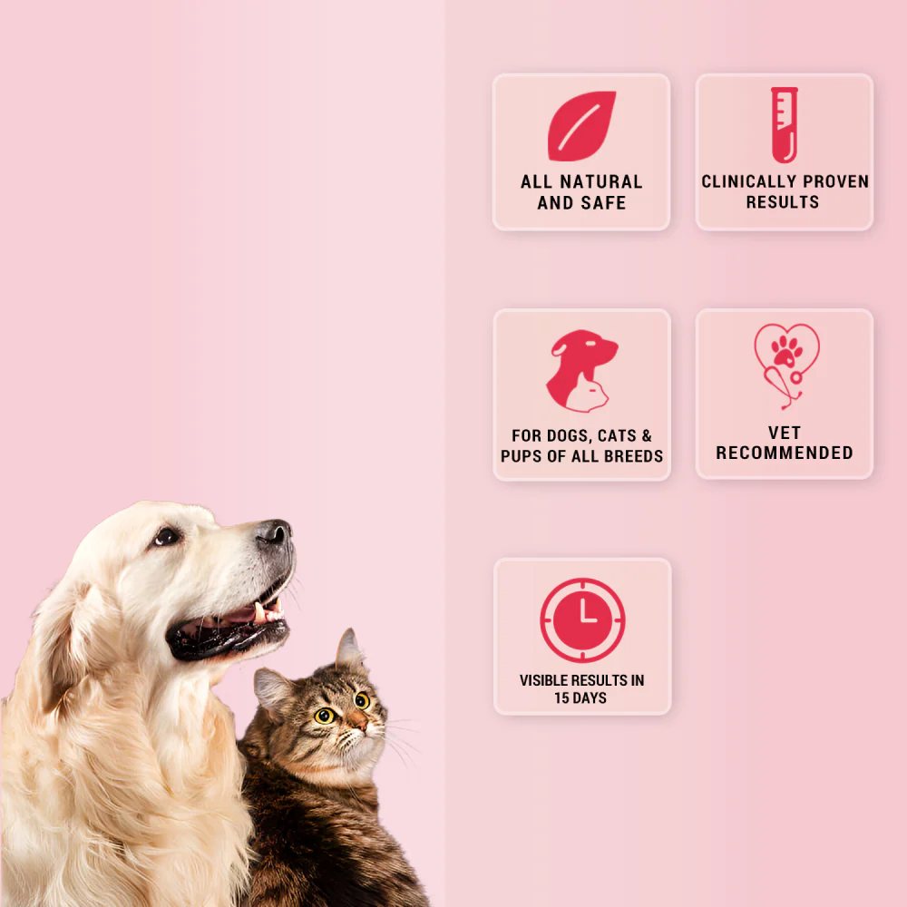 Natural Remedies Natgut Granules 4.2 GMS Sachet Supplement for Cats and Dogs - Image 3
